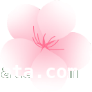 春分——阴阳相半，共赴春日之约，春分至，开启春日繁华盛景