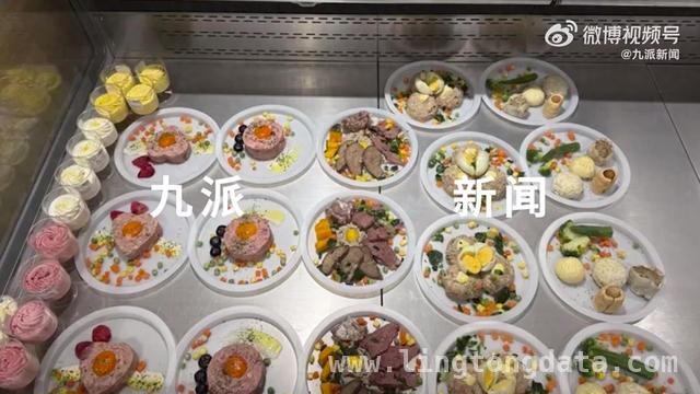“90后”养宠人青睐，上海宠物超市魅力何在？，上海宠物超市开业，“毛孩子”的美食天堂来袭！