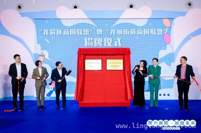 龙岗商圈迈入协同发展新阶段，携手共筑国际化高品质城区