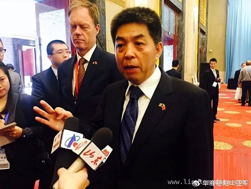岚桥海外港口困局：是危机还是转机的前奏？，叶成的海外港口布局：战略意义与现实危机的碰撞