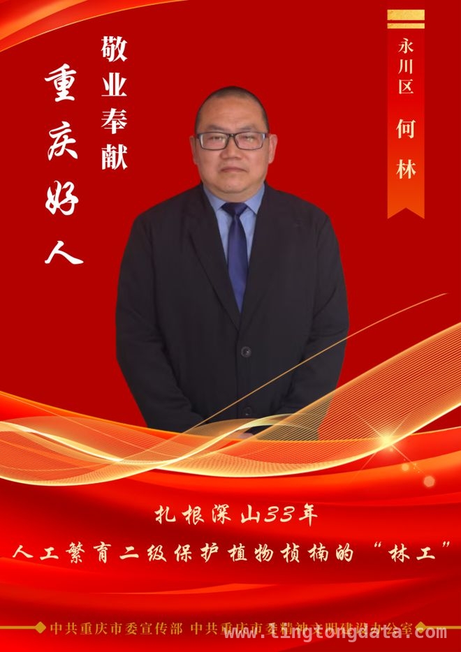2024 四季度“重庆好人”颁奖典礼：凡人善举汇聚城市温度 重庆“好人”事迹感人，精神传承共筑城市辉煌