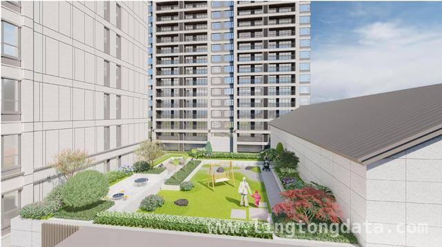 济源推行屋顶绿化，为城市添“绿装”