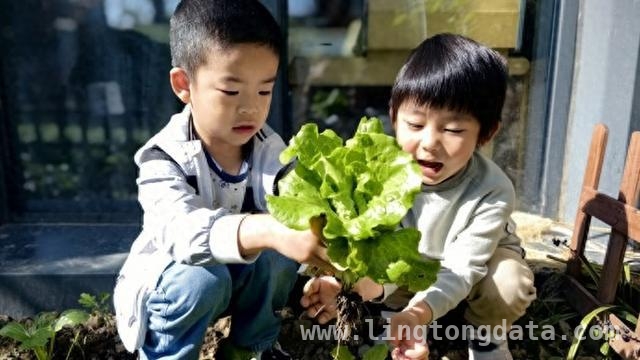 上海教育先行，幼儿园大班免费学前教育试点在即，上海将试点幼儿园大班免费学前教育，开启教育新征程