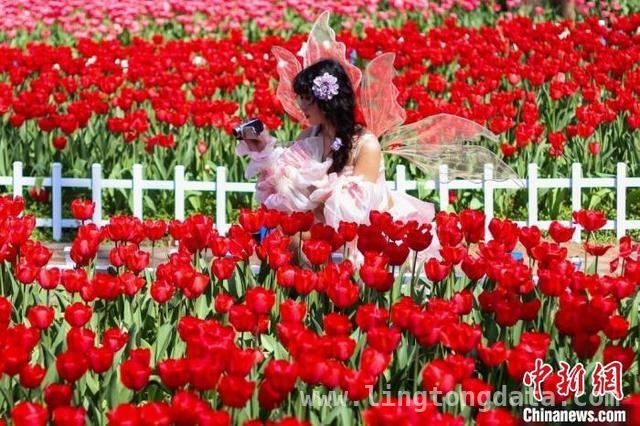 春分时节，长三角“春色经济”暖意袭人