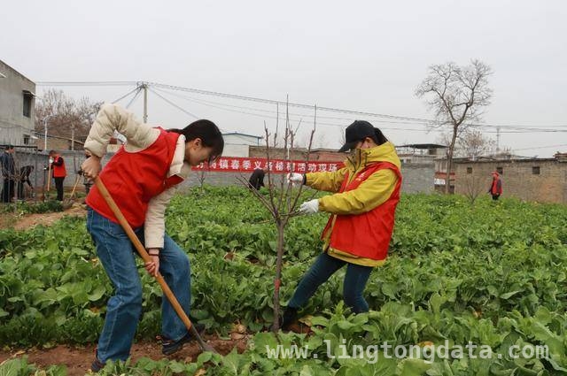 禹州方岗镇春季植树，让乡村焕发生机与活力，方岗镇春季植树：“见缝插绿”开启乡村美丽新篇章