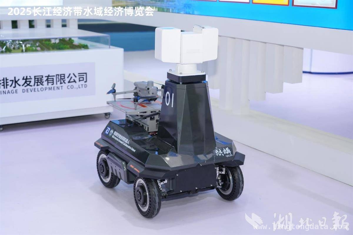 长江水博会：科技盛宴助力水域经济腾飞