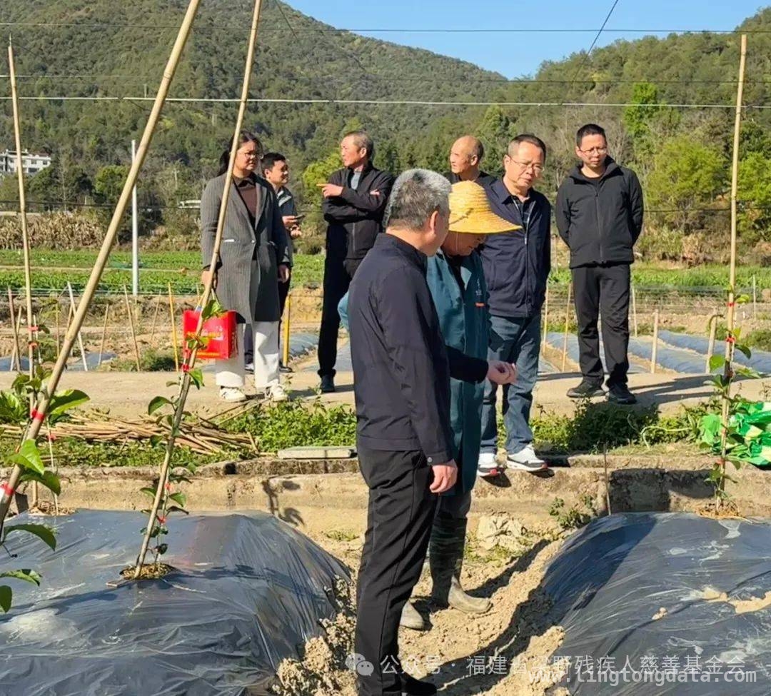 武平县领导调研残疾人就业创业，铺就共富之路 武平：领导调研助力残疾人就业创业逐梦之路