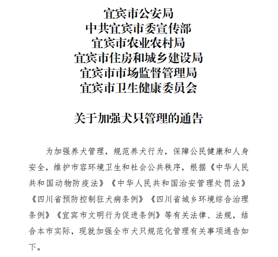重磅！宜宾养犬新规出炉，你准备好了吗？