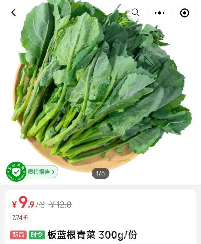 “听名就健康”的板蓝根青菜，你了解多少？，贵价板蓝根青菜畅销，它究竟有何魅力？