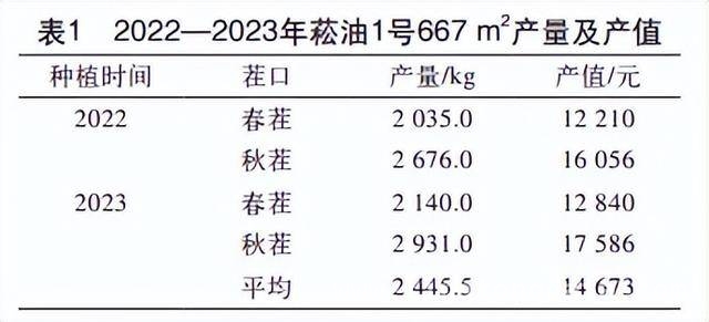 “听名就健康”的板蓝根青菜，你了解多少？，贵价板蓝根青菜畅销，它究竟有何魅力？