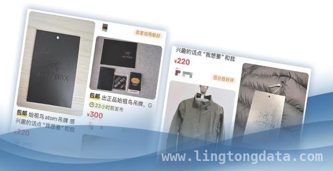 始祖鸟吊牌倒卖成风，品牌如何平衡价值与秩序？ 始祖鸟：吊牌热与生肖限定款疯抢，市场乱象何解？