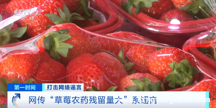 草莓网络传言大起底，真相究竟如何？