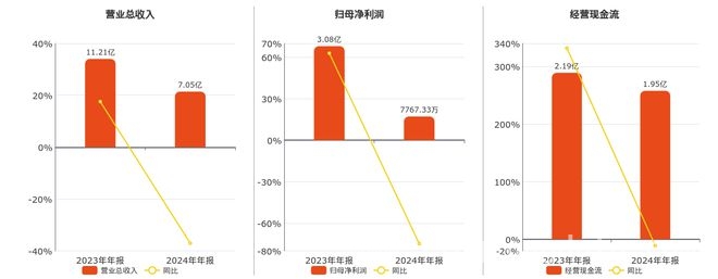 硅烷科技2024年业绩大揭秘，财务指标有何变化？