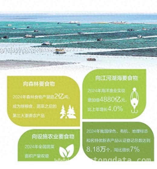多元化食物供给：从田间到餐桌的精彩跨越，构建多元化食物供给体系，开启乡村振兴新征程
