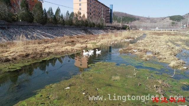 科技赋能！博山区河湖巡查效率提升新高度，博山：“N+”河湖巡查模式，让河道隐患无处遁形