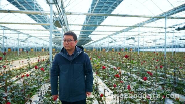 秦州乡村产业崛起，甘肃卫视邀您共赏新事记，3月22日锁定甘肃卫视，看秦州乡村新故事