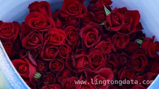 秦州乡村产业崛起，甘肃卫视邀您共赏新事记，3月22日锁定甘肃卫视，看秦州乡村新故事