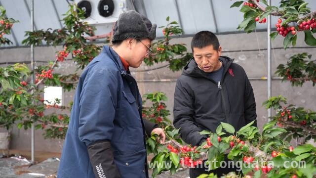 秦州乡村产业崛起，甘肃卫视邀您共赏新事记，3月22日锁定甘肃卫视，看秦州乡村新故事