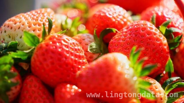 秦州乡村产业崛起，甘肃卫视邀您共赏新事记，3月22日锁定甘肃卫视，看秦州乡村新故事