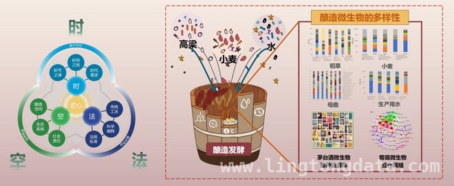 剖析茅台新质生产力：“时空法”模式下的创新之路，2025春分论坛：茅台总经理分享新质生产力实践与思考