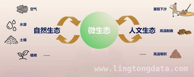 剖析茅台新质生产力：“时空法”模式下的创新之路，2025春分论坛：茅台总经理分享新质生产力实践与思考