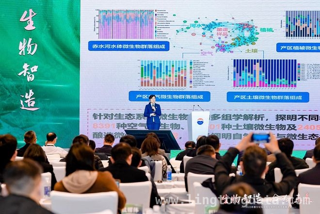 剖析茅台新质生产力：“时空法”模式下的创新之路，2025春分论坛：茅台总经理分享新质生产力实践与思考
