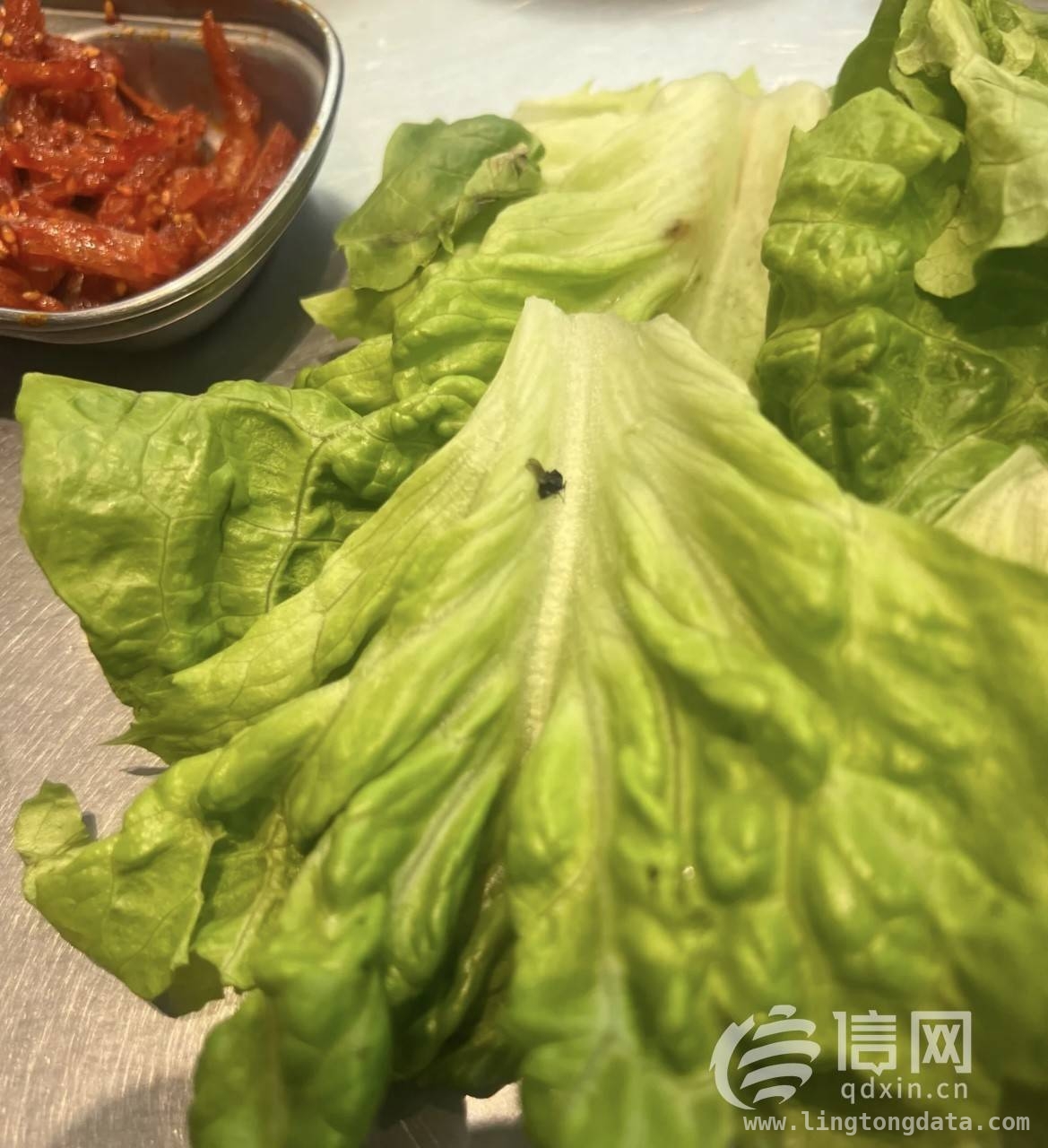 青岛一餐厅生菜现苍蝇，赔偿协议引争议 大叹号烤肉生菜现苍蝇，和解协议惹顾客不满