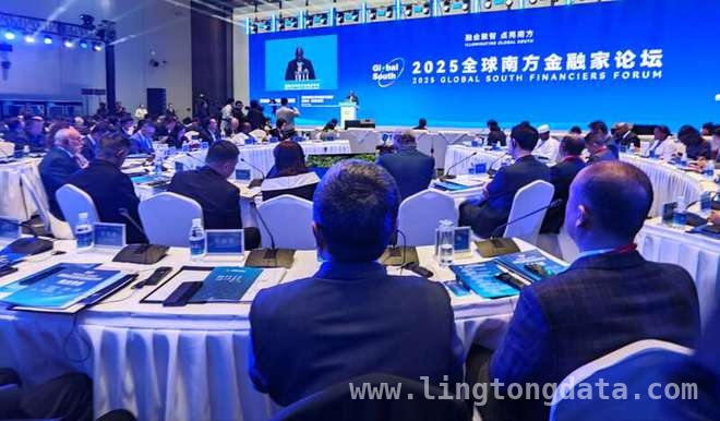 南南金融合作升温，2025论坛推动经济新变革 2025论坛开启南南金融合作新篇章，引领全球经济新走向