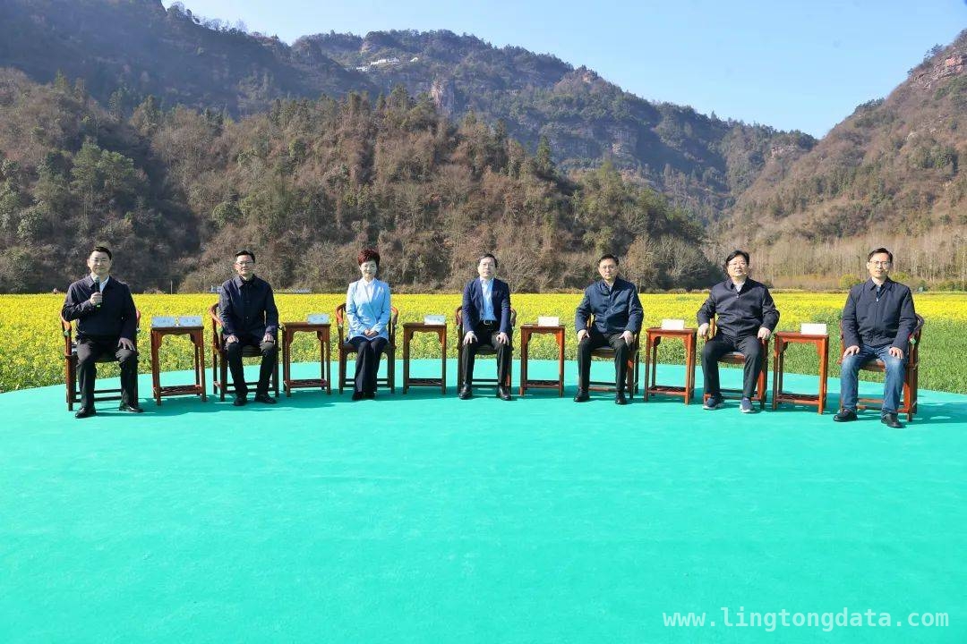 3月21日，黄山新闻发布会释放旅游新信号！，黄山旅游大揭秘：新闻发布会上的精彩亮点