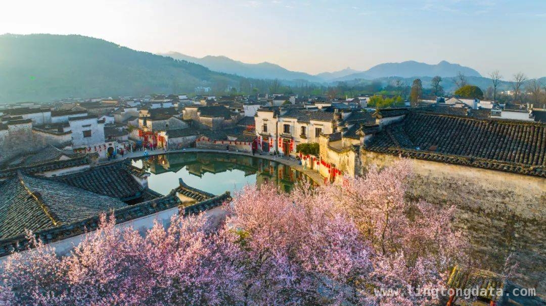 3月21日，黄山新闻发布会释放旅游新信号！，黄山旅游大揭秘：新闻发布会上的精彩亮点