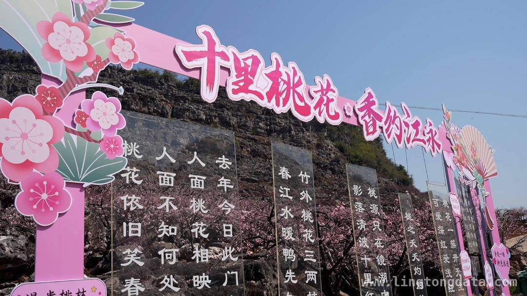 江永第二届桃花节，开启春日最美邂逅，江永桃花谷：一场色彩斑斓的春日盛宴