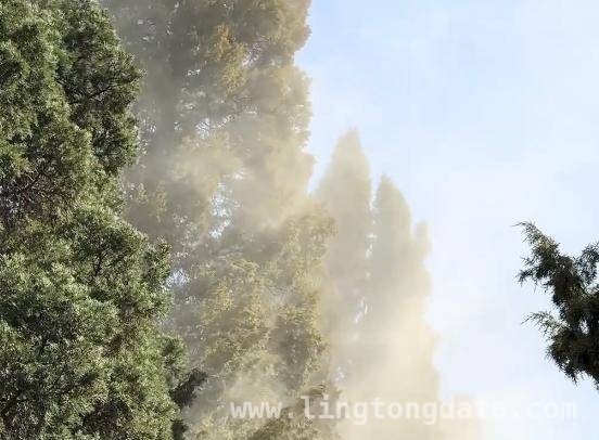 春日花粉肆虐，北京天坛开启防治，你做好防护了吗？