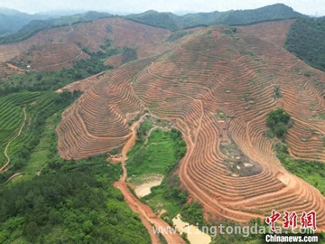 藤县双底村：“云边茶海”开启六堡茶产业振兴之路，梧州六堡茶：突破传统，茶旅融合助力产业腾飞