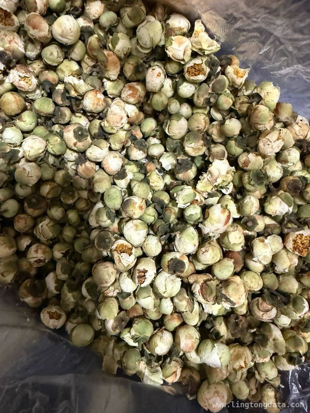 警惕！菜场“雪莲花”骗局频发