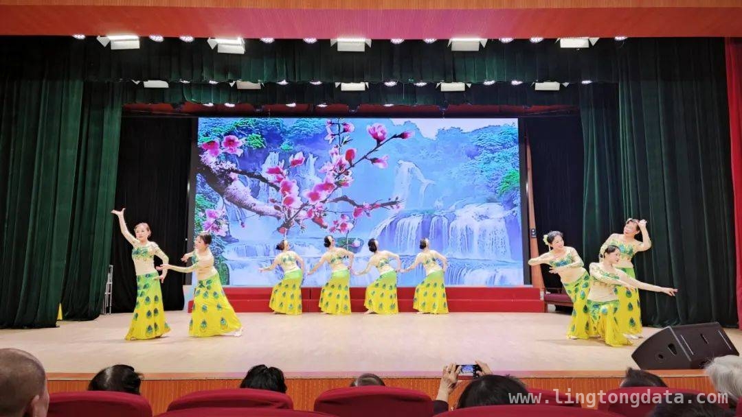 古美侨联“侨界法治宣传月”：法治与爱国情同飞扬 “法治护航 行稳致远”：古美侨界法治宣传活动亮点纷呈