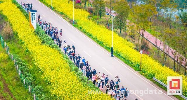 春日远足：自贡师生共赴自然之约，自贡师生春日行动，拥抱乡村自然之美