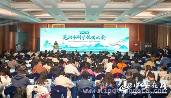 芜湖研学盛会：多元举措推动旅游产业新发展，芜湖市研学大会：专家论道，战略合作拓新局