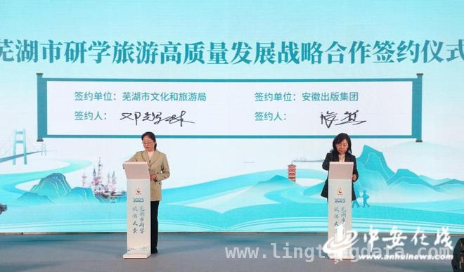 芜湖研学盛会：多元举措推动旅游产业新发展，芜湖市研学大会：专家论道，战略合作拓新局