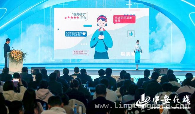 芜湖研学盛会：多元举措推动旅游产业新发展，芜湖市研学大会：专家论道，战略合作拓新局