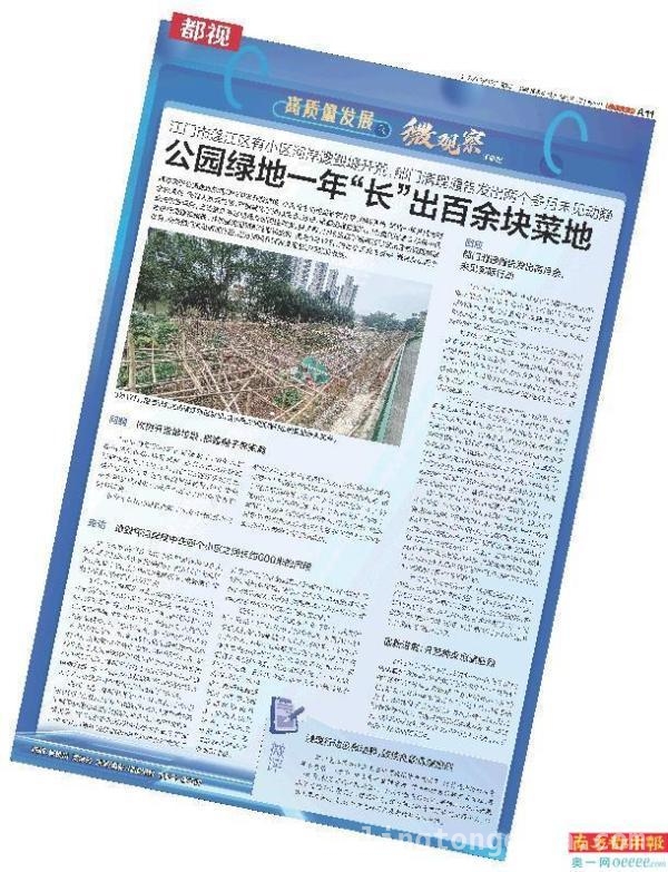 桐井河开荒问题解决，居民盼建公园景观带