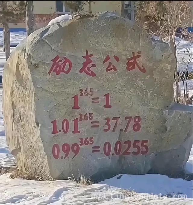 揭秘！员工坚守十年的背后真相