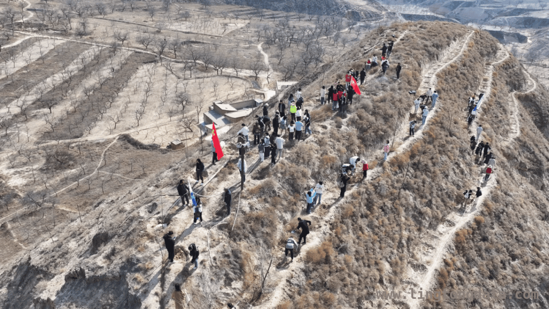 高校师生春分植树，让文明新风在乡村落地生根 “双课堂”活动绘就兰州乡村生态文明新画卷