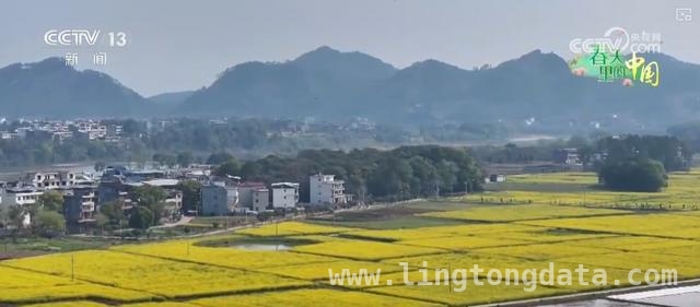 2. 枣阳桃花绽放、宁都油菜盛开，农文旅经济激活乡村发展新动能，4. 湖北枣阳桃花与江西宁都油菜花：乡村旅游经济的两颗璀璨明珠