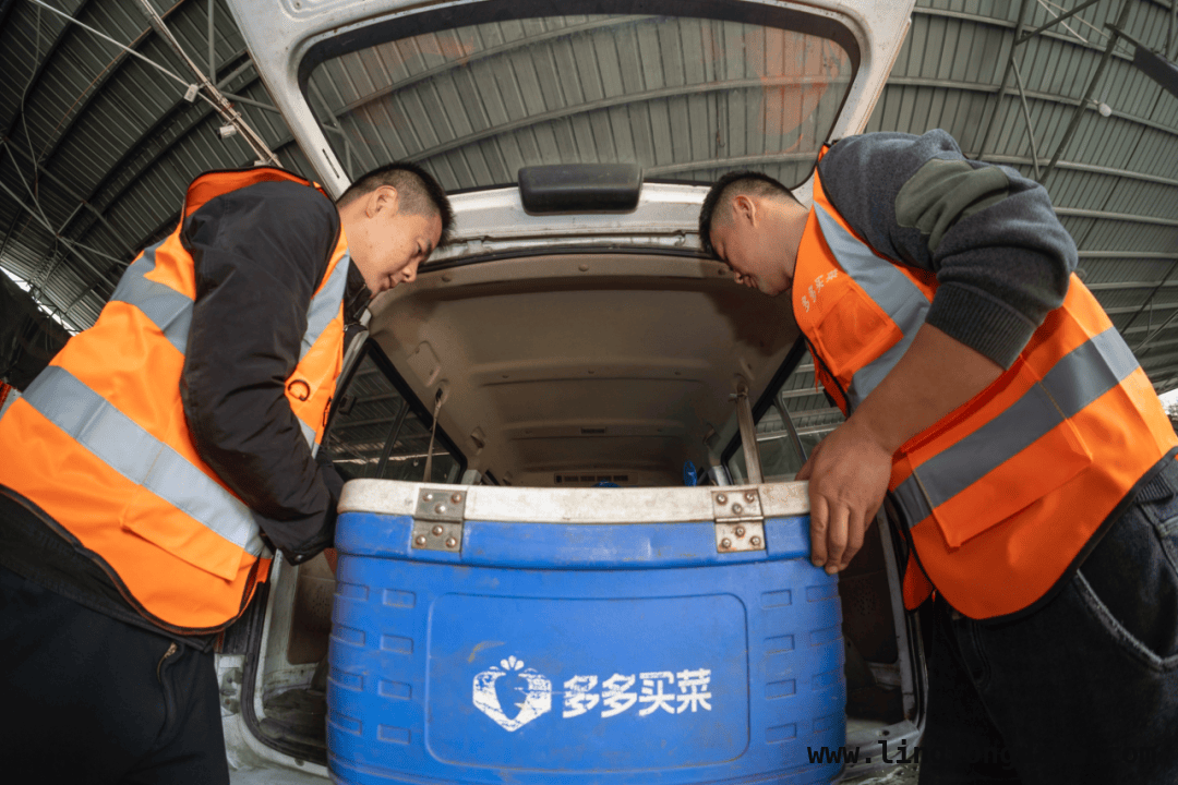 数字引擎助力，小城青年在温州网格站开启创业新篇 90后小伙温州创业：从铁皮房转运仓到网格站站长的逆袭