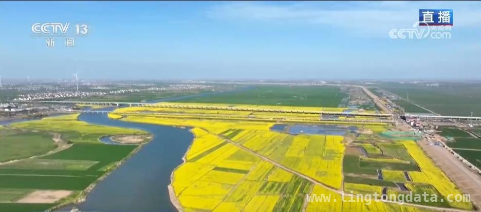 春日出游指南：福建油菜花、贵州桃花、安徽油菜海的魅力，福建贵州安徽三地，春日花海绘就绝美画卷