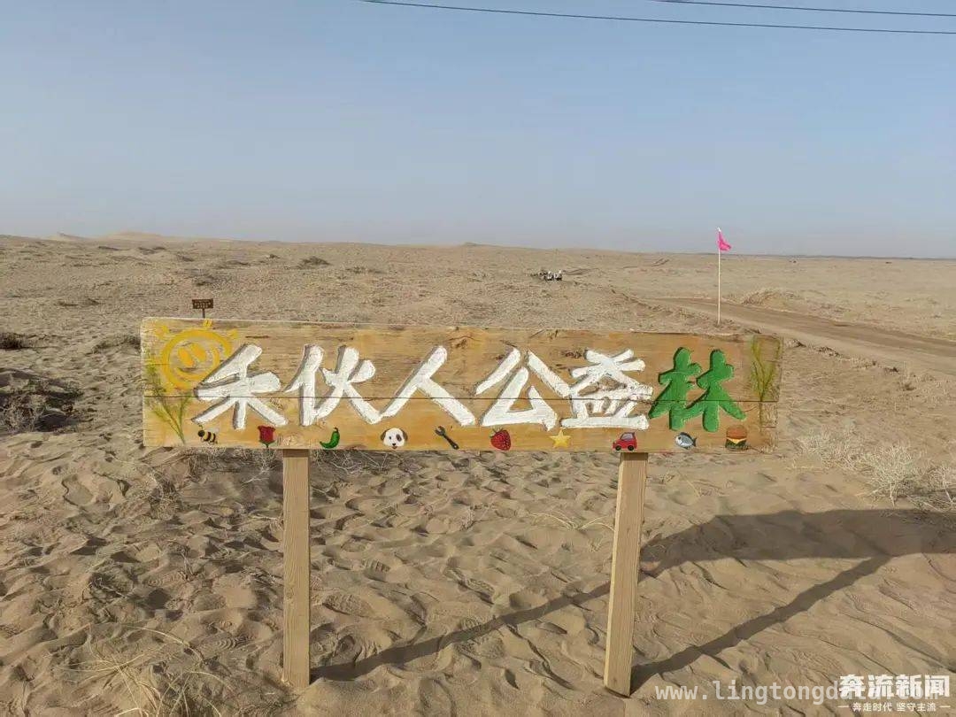 民勤种树：跨越山海的爱汇聚成绿海，爱与希望：民勤公益植树的动人篇章