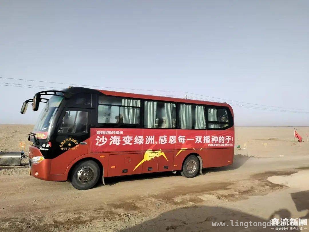 民勤种树：跨越山海的爱汇聚成绿海，爱与希望：民勤公益植树的动人篇章
