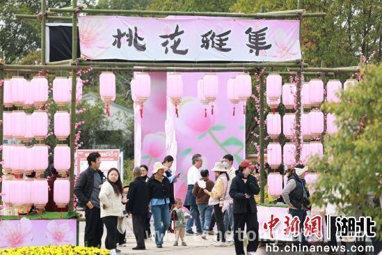 湖北枝江春季“村晚”盛大开启，多元活动点燃乡村活力，枝江春季“村晚”：农文体旅融合，绘就乡村春日画卷
