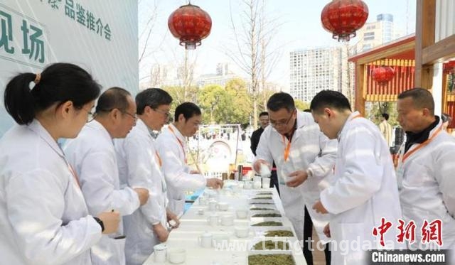 霞浦开茶盛会，茶香奏响乡村振兴新乐章，“一叶霞浦 茶和两岸”，霞浦开茶仪式开启茶产业新征程