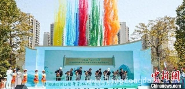 霞浦开茶盛会，茶香奏响乡村振兴新乐章，“一叶霞浦 茶和两岸”，霞浦开茶仪式开启茶产业新征程